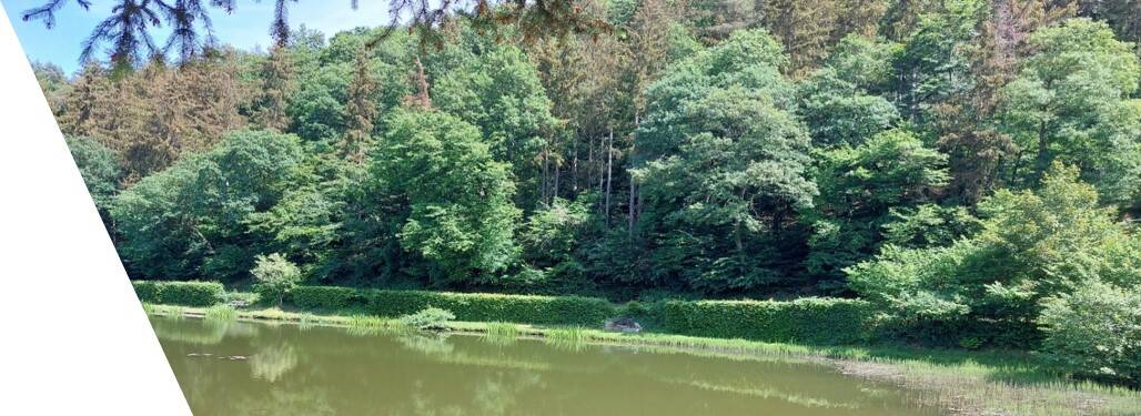 Weiher